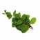 Mint Leaves Per Bunch