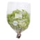 Biomaas Organic Fresh Green Oak Lettuce 1 Piece