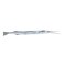 Needle Fish