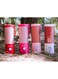 Blendjet V2 Portable Blender 16oz Red - 22.86 x 7.62 cm