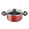 Tempo Flame Stewpot 24CM With Glass Lid