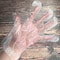 lavish Clear Bio-Degradable PE Plastic Gloves (1 Pack X 100 Pieces)
