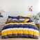 RISHAHOME 6-Piece Double Size Duvet Cover Set Microfiber Multicolour Duvet Cover - 200x230, Flat Sheet - 220x280, Pillow Cover - 48x74cm
