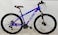Raleigh Vesta 29 Inch Mountain Bike(Blue)
