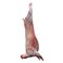 Kenyan Whole Lamb  9-11 kg