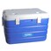 Thermos Foam Hard Cooler Blue 60L