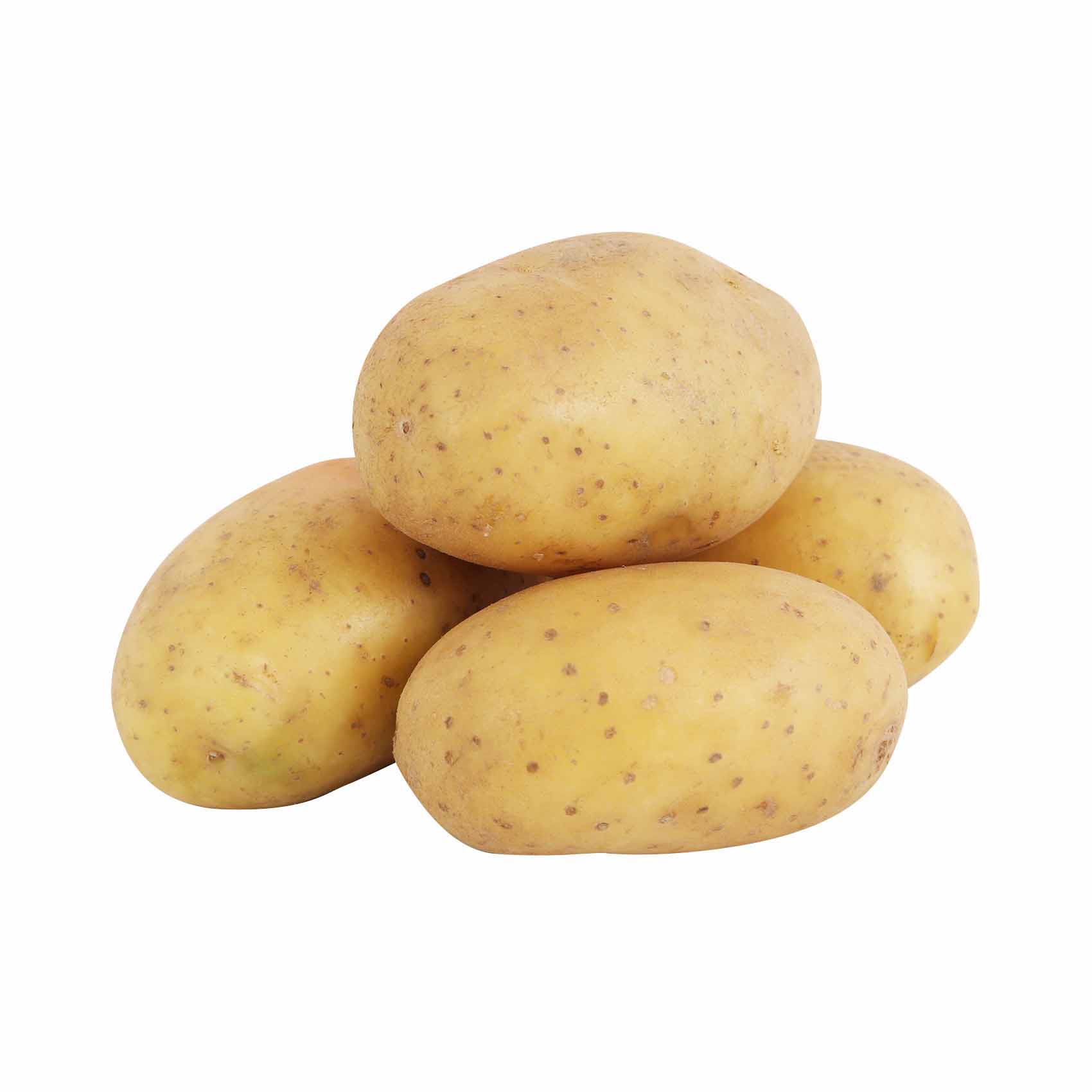 Potato