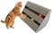 Generic Cat Toy Kitty Scratcher Catnip Scratch Board Incline Scratcher Kitty Toy With Bell Ball