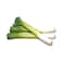 Leek