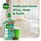 Dettol Antibacterial Floor Cleaner Pine Scent, 900ml