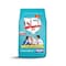 Nestle Bunyad Powder Milk 260 gr