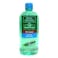 Green Cross 70% Ethyl Alcohol Antiseptic Disinfectant Green 250ml