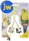 Pet Mate Jw Activitoy Dice Toy