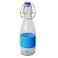 Glass Bottle With Colorful Silicone Lid And Grapple 250ml