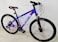 Raleigh Vesta 29 Inch Mountain Bike(Blue)