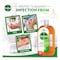 Dettol Anti-Bacterial Antiseptic Disinfectant 750ml