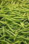 Green Bean