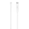 Belkin 4K Mini DisplayPort to HDMI Cable (4 m/13 ft.)