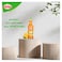 Vitrac Mango Syrup - 635 ml