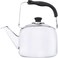 Wilson Tea Kettle With Capsule Bottom 2.5L Silver