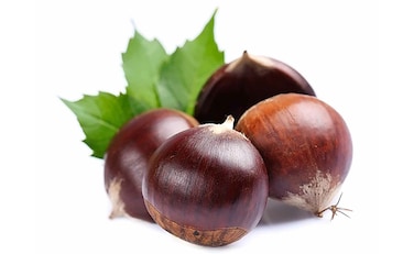 أبو فروة