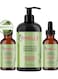 Mielle Organics Rosemary Mint Strengthening Set 2 Oils + Shampoo Infused With Biotin Cleanses And Helps Strengthen Weak And Brittle Hair 473ml