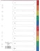 Generic Plastic Divider 10 Color Without Number