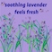 Originally Yellow Natural Moisture Absorber Lavender 300g