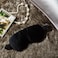 Silk Sleeping Eye Mask