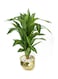 Generic Artificial Plant With Planter Green