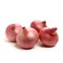 Baby Onion Red Pack