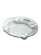 Generic Digital Weighing Scale