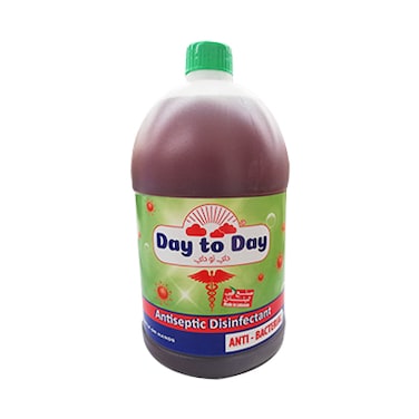 Day To Day Anti-Bacterial Antiseptic Disinfectant  3.8L
