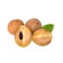 Sapodilla Fruit Per Pack