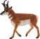 Animal Planet Mojo Pronghorn Toy Figure