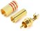 DKURVE&reg; RCA Audio Plug, AV Stereo Gold Plated Male Plug TV-out Cable AV Pin RCA Pin Male Audio Video RCA Pin Male Connector for Stereo Cable Audio Video Jack Adapter for Speaker Connector Pin