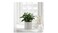 Plant pot, in/outdoor white12 cm