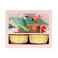 Tropical Bird Cupcake Kit