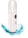 Generic Portable Facial Steamer White