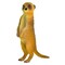 COLLECTA MEET KAT STANDING 88217