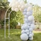 Blue &amp; Nude Balloon Arch Kit