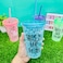 Ice Cup, Acrylic Frosty Freezing Gel Ice Cup with Straw and Lid for Juice, Soft Drinks, Water, 450 ml (Random Color)