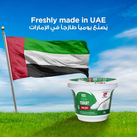 Al Ain Low Fat Fresh Yoghurt 170g