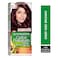 Garnier Color Naturals Cr&egrave;me Nourishing Permanent Hair Color, 3.6, Deep Red Brown