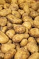 Potato for Frying