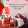 Air Wick Automatic Air Freshener Spray Refill, Rose Scent, 250ml