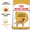 Breed Health Nutrition Golden Retriever Adult 12 KG