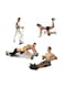Generic Extreme Abdominal Muscle Roller