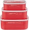 Flamingo Air Proof Food Containers 3Pcs Set Fl5006Atcst
