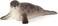 Animal Planet Mojo Grey Seal Toy Figure